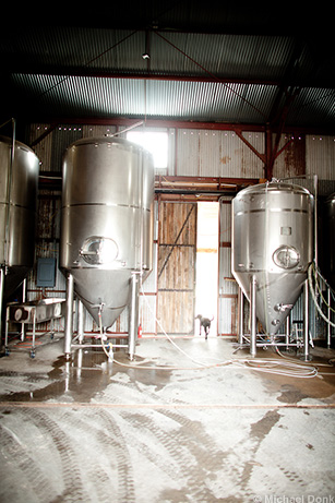 Jester King Tanks