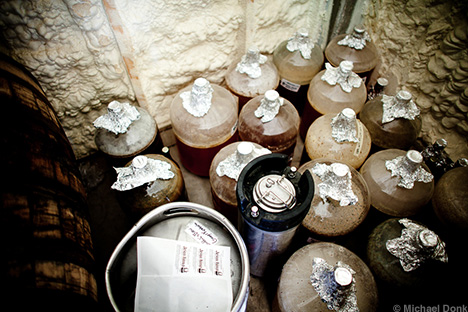 Jester King Yeast