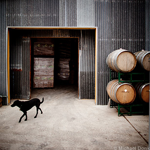 Jester King Cooler Enterance